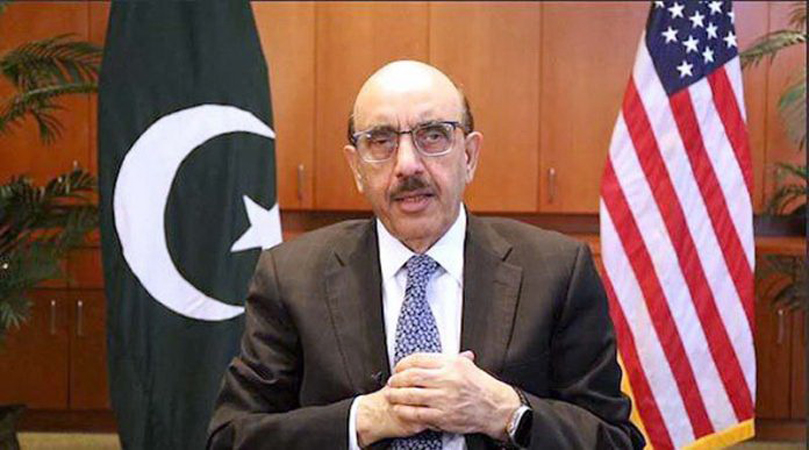 Masood Khan praises Pakistani-American entrepreneurs' contribution to Pak economy