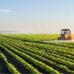 Agriculture sector grew 1.55% in 2022-23: Economic Survey