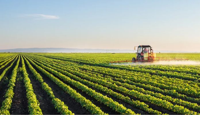 Agriculture sector grew 1.55% in 2022-23: Economic Survey