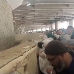 Pilgrims conclude Hajj with stoning ritual