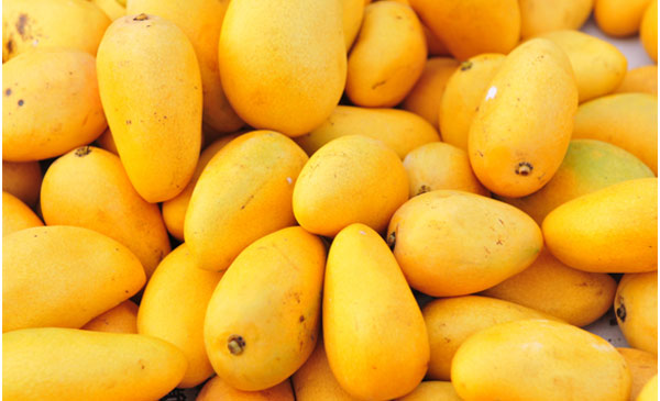 King of fruit Mango' demands high amid health benefits