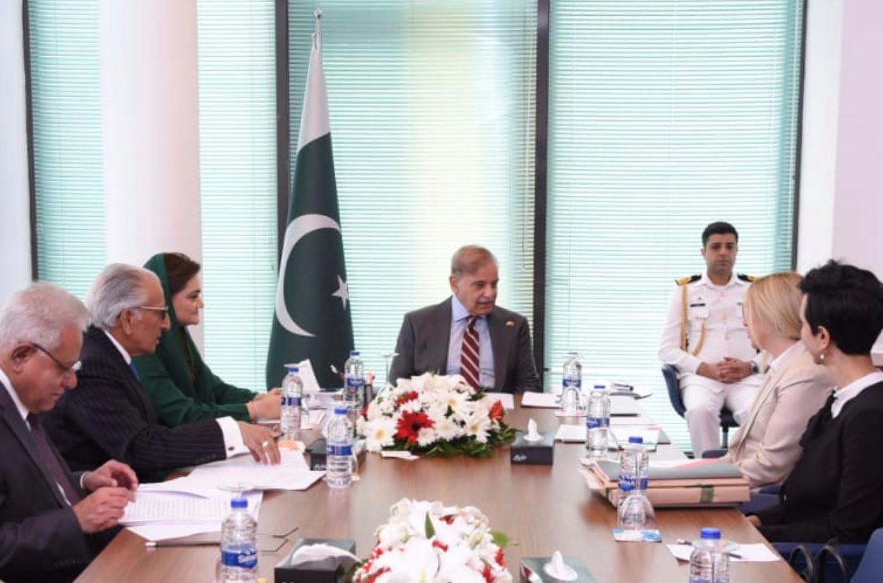 Chairperson of Turkish firm Limak Holding meets PM Shehbaz Sharif in Ankara: Marriyum