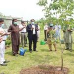 POA EC organizes a tree-plantation drive