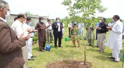 POA EC organizes a tree-plantation drive