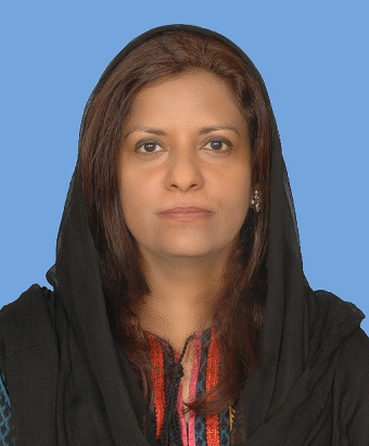 Shortage of gas hampering 24 hours supply to domestic consumers: NA told