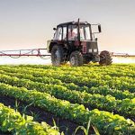 Multi-pronged strategy needed to boost agriculture in Balochistan