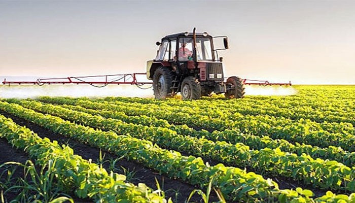 Multi-pronged strategy needed to boost agriculture in Balochistan