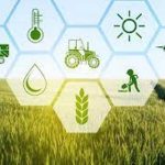 Promoting culture of run-of-the river dams imperative for arresting load shedding, bolstering agriculture development