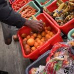 Food imports reduced by 0.88 % in FY 2022-23