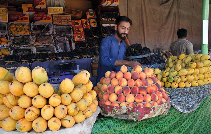 A vendor selling fruits on his stall at weekly Sunday bazaar Peshawar Morr in Federal Capital