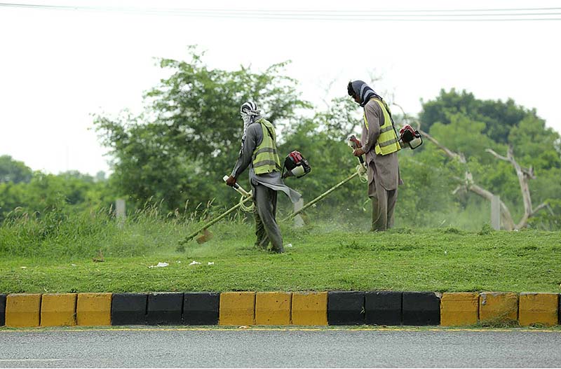 CDA workers busy in trimming grass alongside the Islamabad Expressway