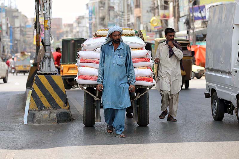 A labourer pulling a hand cart loaded with sacks at Committee Chowk