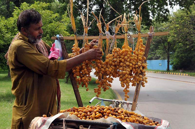 A vendor arranging and selling fresh dates on his bicycle to attract customers at roadside in the Federal Capital