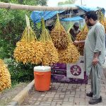 People purchasing fresh dates from a roadside setup