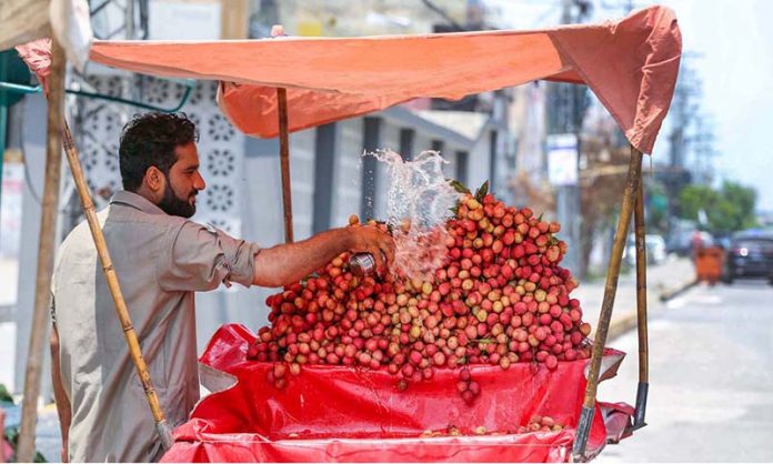A street vendor busy in watering seasonal fruit leechi to keep it fresh at Murree Road