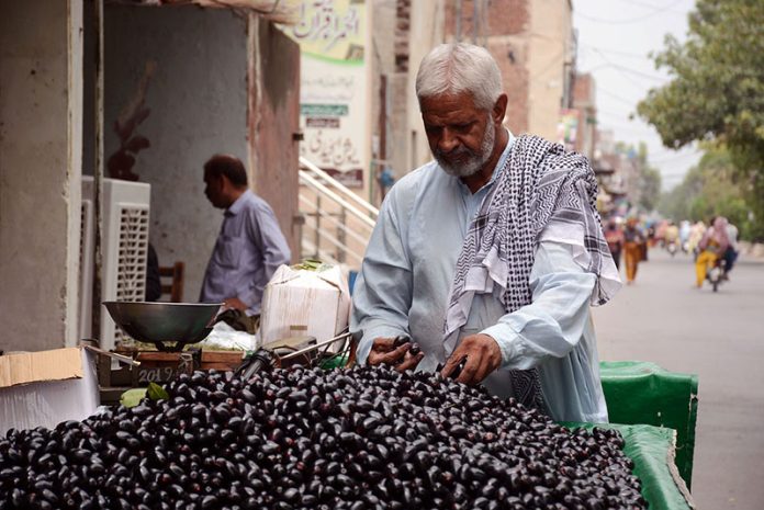 APP03-090723Faisalabad A vendor is busy in arranging and selling the Jambolan on his roadside setup in the city
