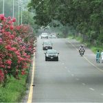 An attractive view of seasonal flowers flourishing and blooming at roadside in the Federal Capital