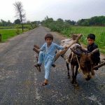 Children enjoying donkey riding at Bypass Road.