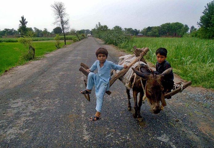 Children enjoying donkey riding at Bypass Road.