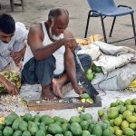 A vendor busy in cutting mangoes for pickle (Achar) at Vegetable Market