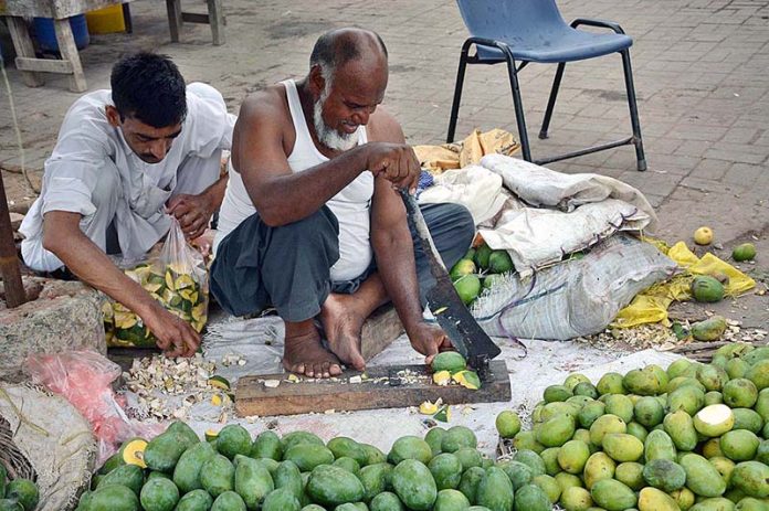 A vendor busy in cutting mangoes for pickle (Achar) at Vegetable Market