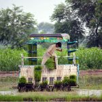 Farmer using modern agriculture machine for seedling of rice crop in his field.