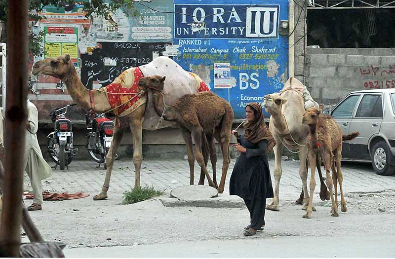 Female vendor selling camel milk at a roadside