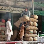 A labourer loading sack of onion on delivery vehicle at Islamabad Fruit and Vegetable Market