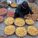 A vendor arranging and displaying the seasonal fruit (Dates) to attract the customers during at Fruit Market