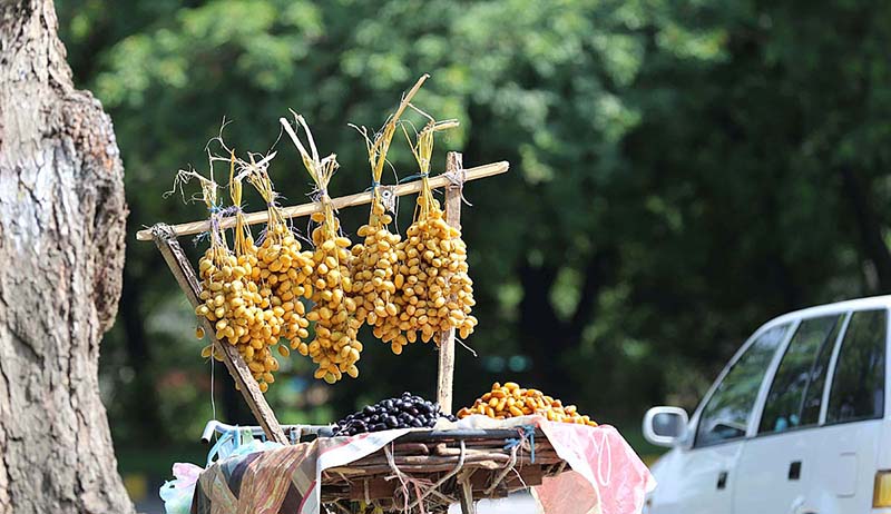 A street vendor displaying dates to attract customers in the Federal Capital.