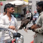 A vendor selling country hens to the customer near Dolat Gate Chowk