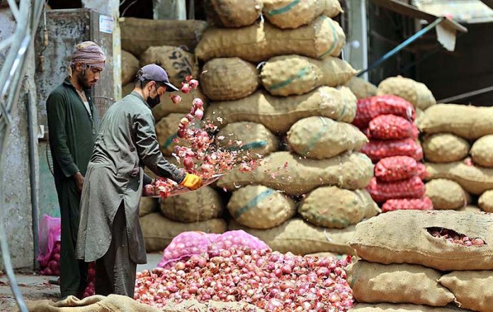 Vendors busy in cleaning onion at Fruit and Vegetable market
