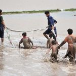 Farmers are preparing the field for rice crop near Baka Pur Village