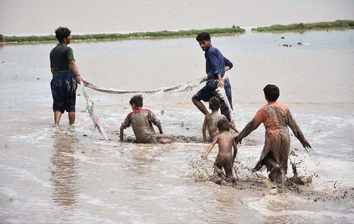 Farmers are preparing the field for rice crop near Baka Pur Village