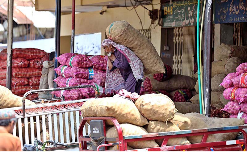 Vendors busy in cleaning onion at Fruit and Vegetable market