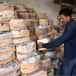 A vendor arranging and displaying mangoes wooden boxes at fruit Market