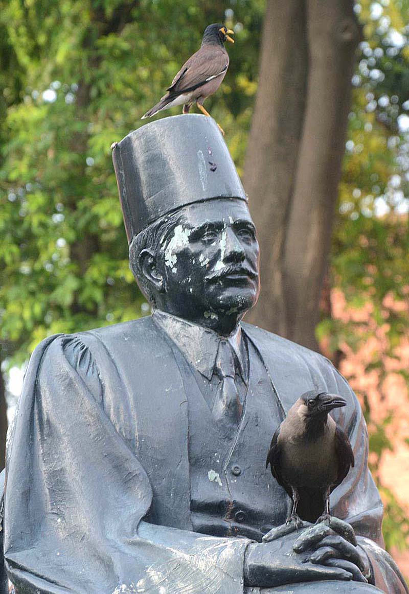 A birds sitting on the statue of Allam Mohammed Iqbal at Alhamra