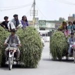 Gypsy families traveling on the tricycle rickshaw loaded with a fodder for animals