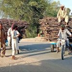 Motorcycle carts on their way loaded with tree laden