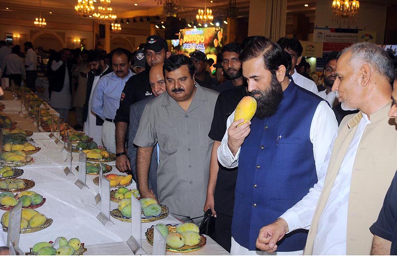 Governor Punjab Engr. Muhammad Baligh Ur Rehman visits different varieties of mango stalls during the inauguration ceremony of three days ''Mango Festival 2023'' at DHA Arena Hall