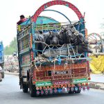 Truck holder on the way loaded with buffaloes at Hala Naka Road