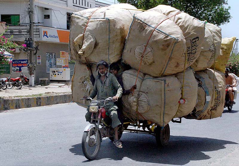 Motorcycle carts on their way loaded with tree laden