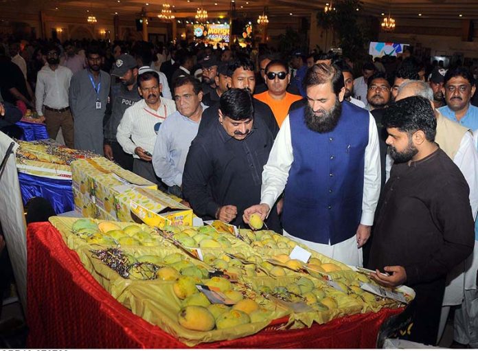 Governor Punjab Engr. Muhammad Baligh Ur Rehman visits different varieties of mango stalls during the inauguration ceremony of three days ''Mango Festival 2023'' at DHA Arena Hall Governor Punjab Engr. Muhammad Baligh Ur Rehman visits different varieties of mango stalls during the inauguration ceremony of three days ''Mango Festival 2023'' at DHA Arena Hall