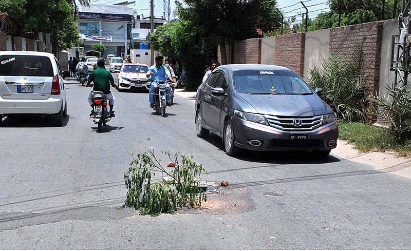 Motorcycle carts on their way loaded with tree laden