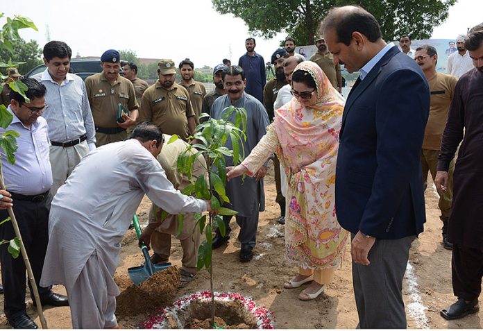 Divisional Commissioner Silwat Saeed and Deputy Commissioner Ali Anan Qamar sapling a plant after inaugurating Tree Plantation Campaign at Kaleem Shaheed Park