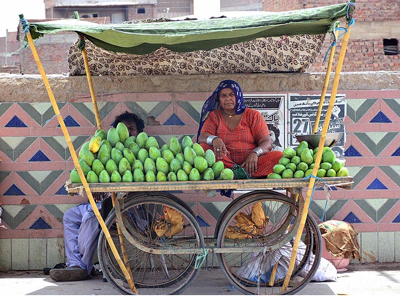 Woman vendor displaying mangoes to attract the customers on handcart