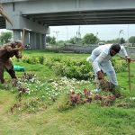 CDA gardeners busy in work on greenbelt area at Rawal Dam Chowk in Federal Capital