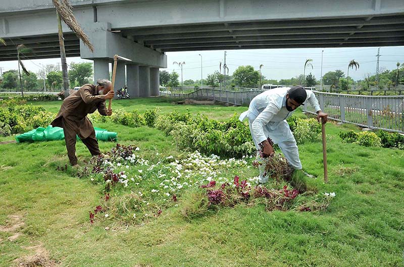 CDA gardeners busy in work on greenbelt area at Rawal Dam Chowk in Federal Capital