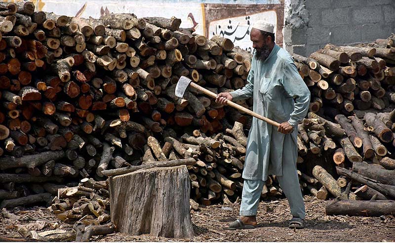 A laborer cutting woods at Chakbeli Road