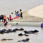 Gypsy women are washing the cloths at Indus River